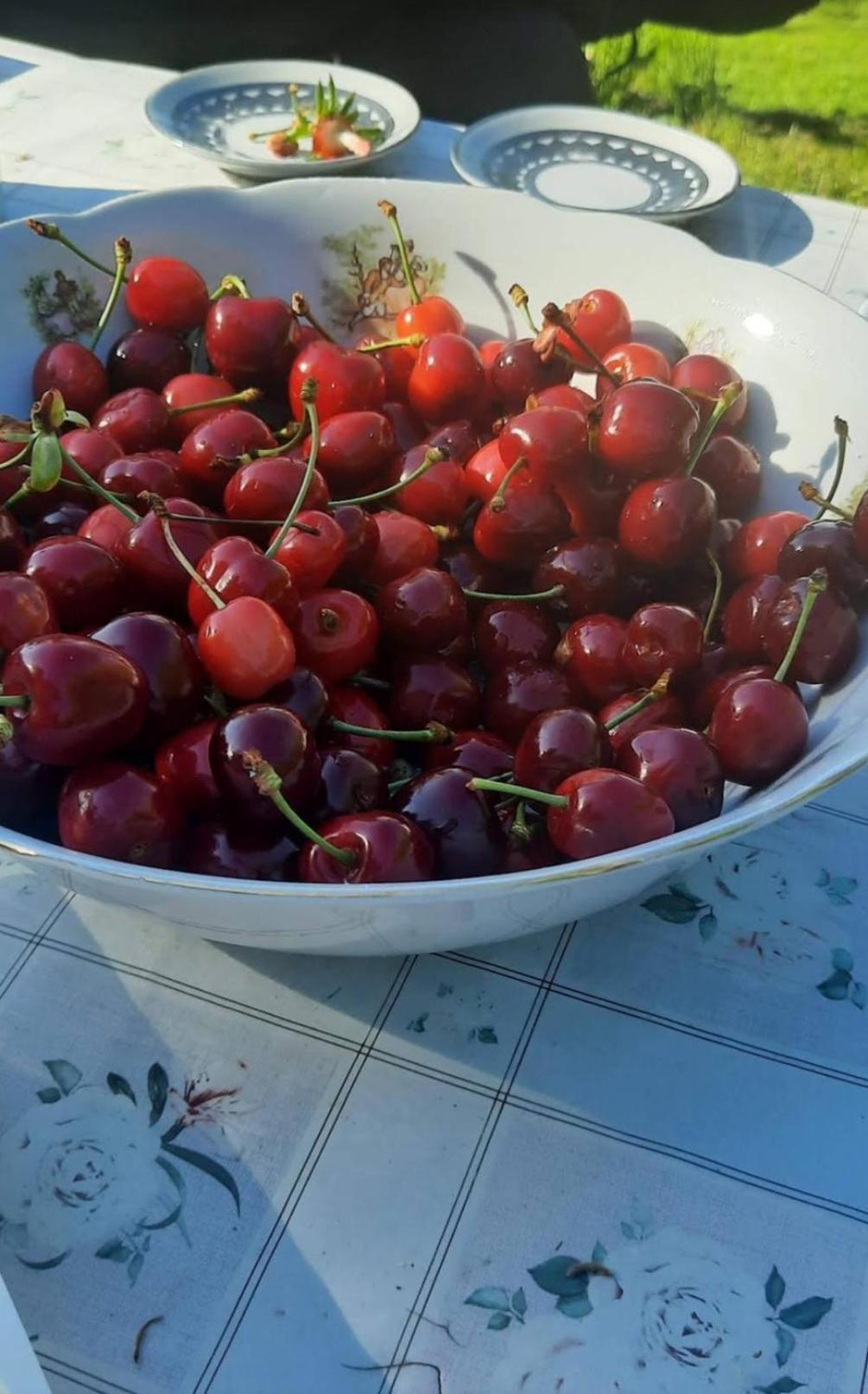 Mala Farma Nani Farm stay *