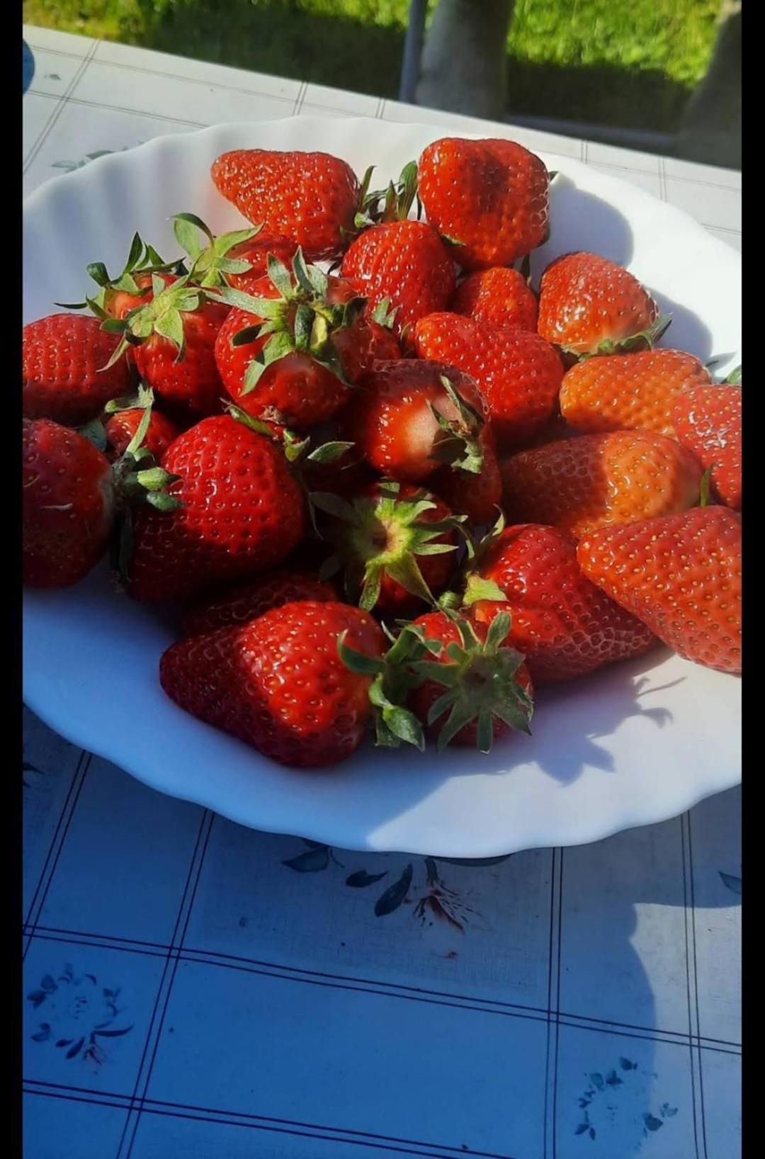 Mala Farma Nani * Visoko