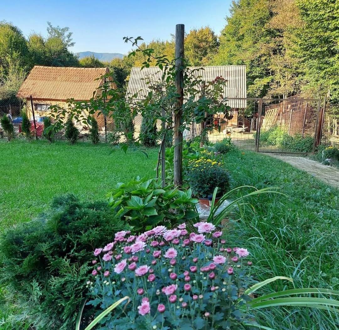 Mala Farma Nani Farm stay *