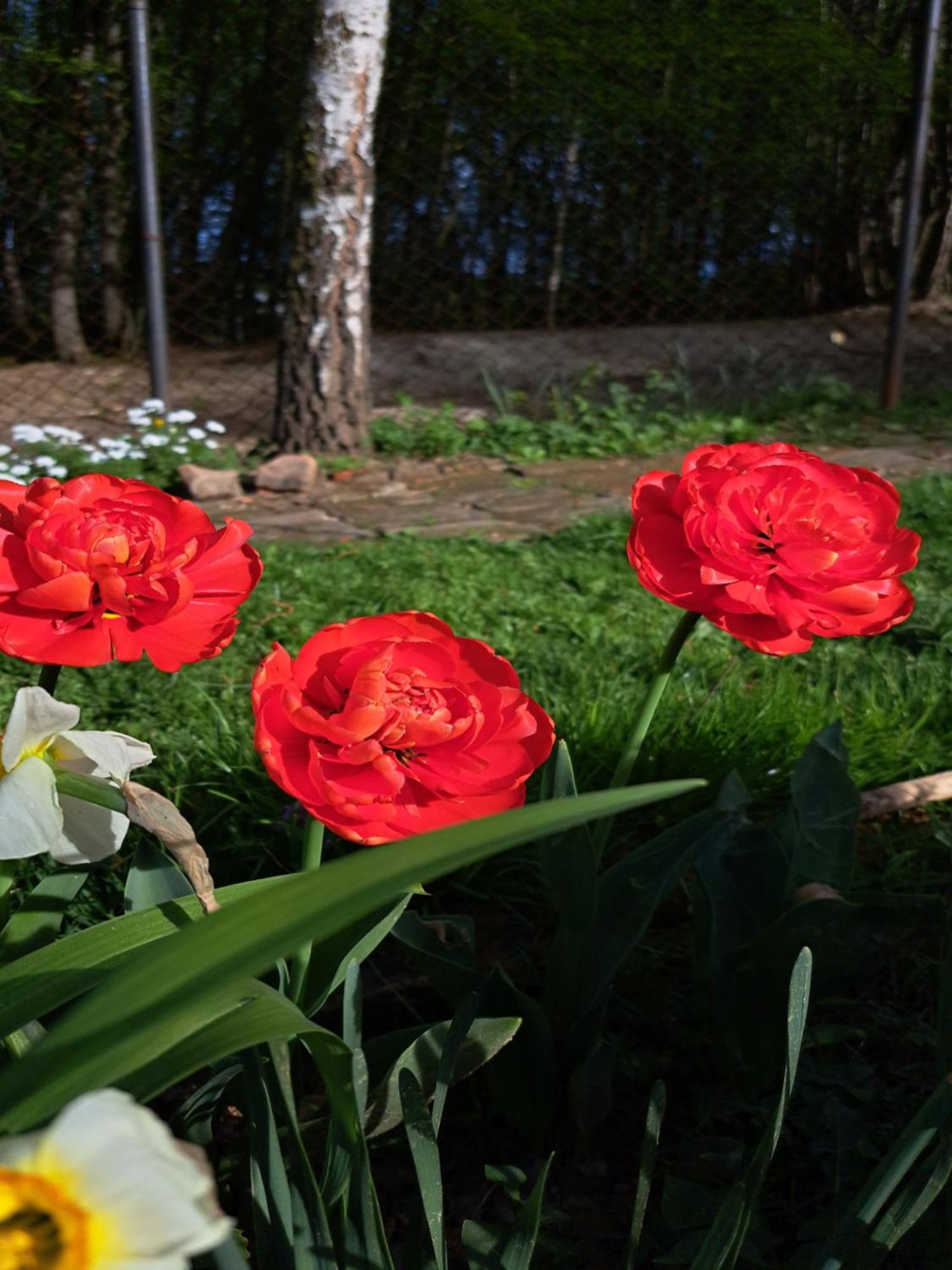 Mala Farma Nani Farm stay Visoko