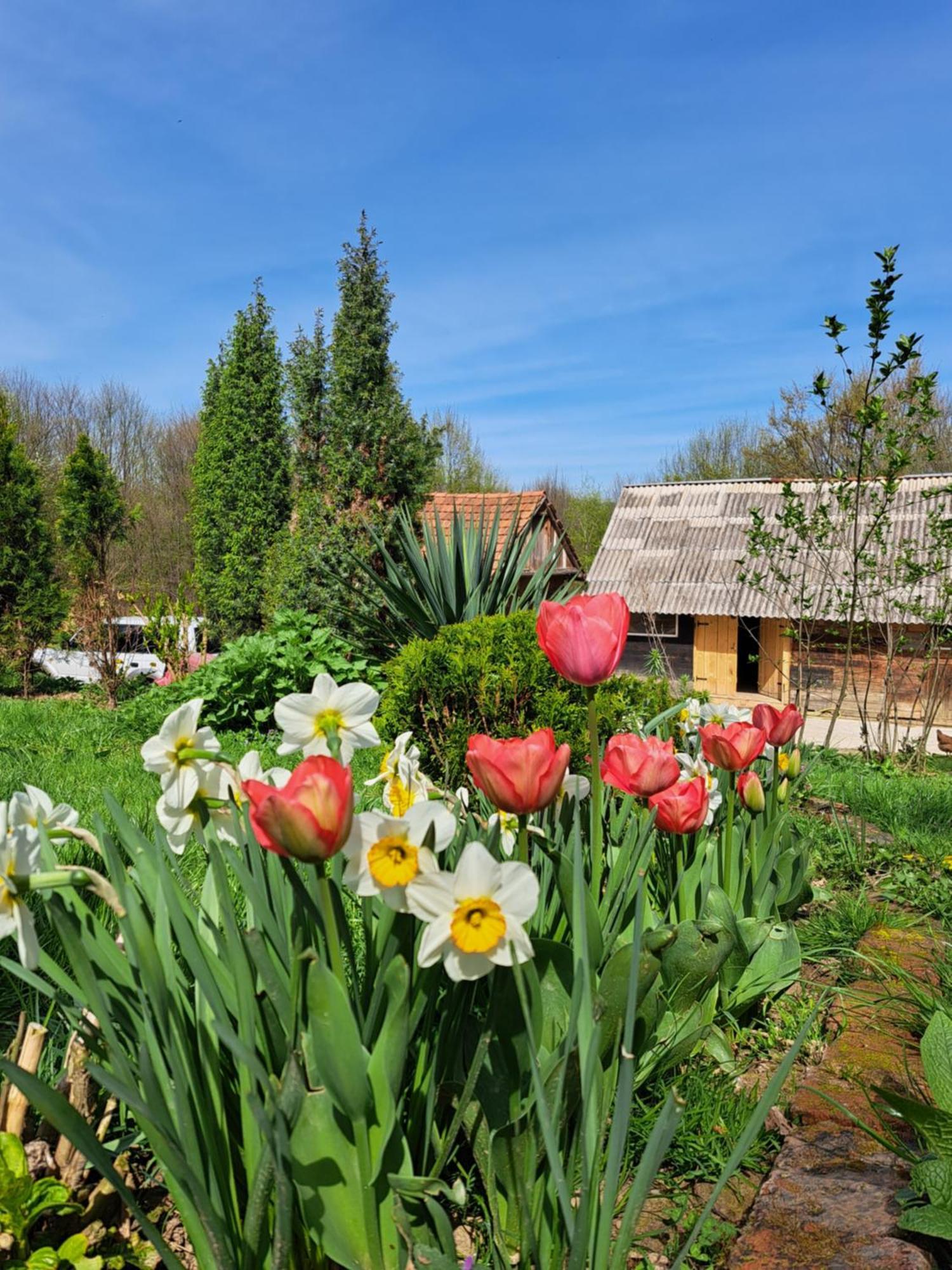 Farm stay Mala Farma Nani Visoko