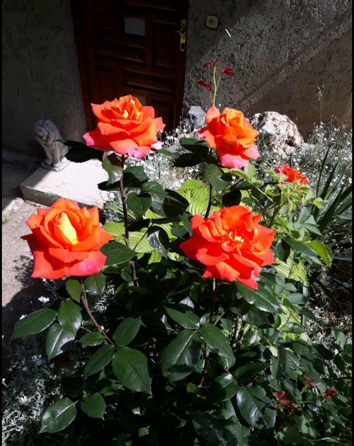 Mala Farma Nani Farm stay *